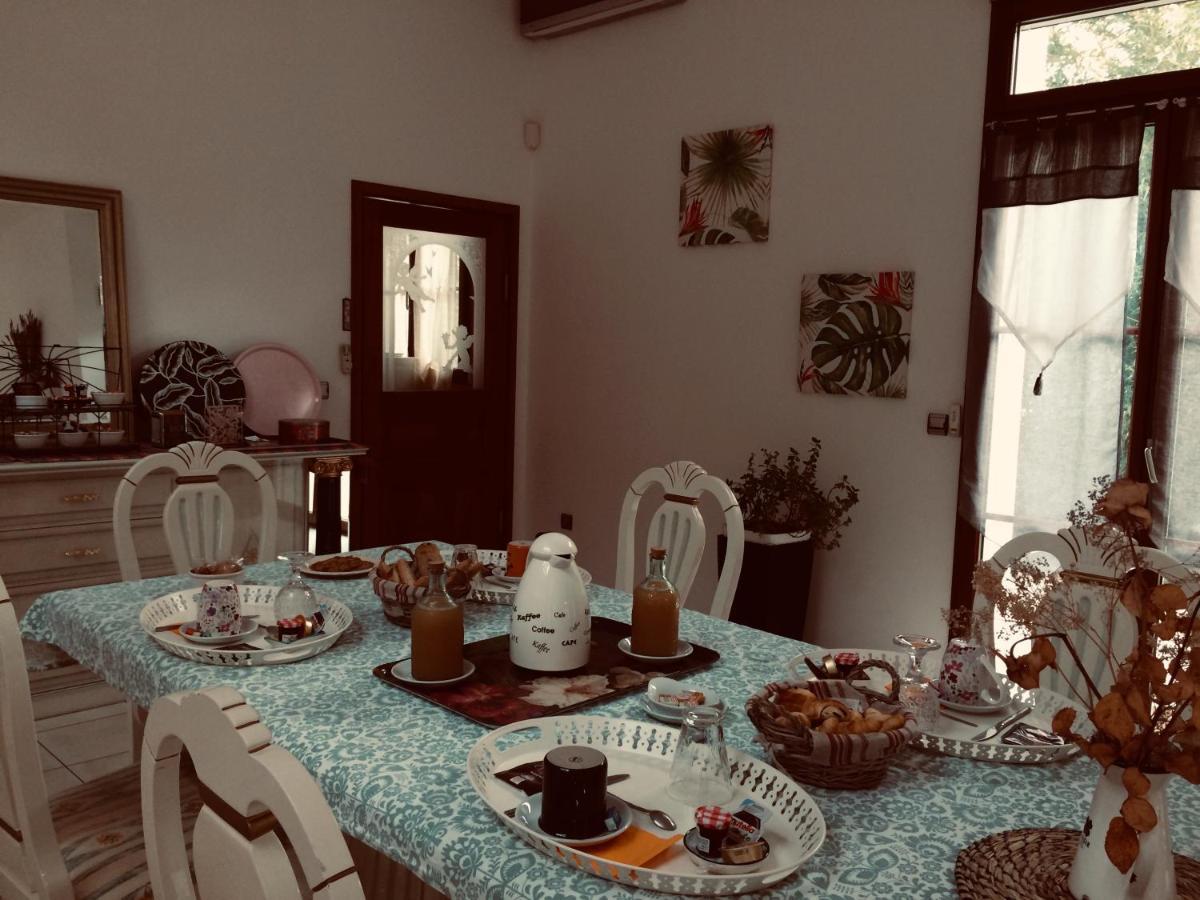 סן-סיר-סור-לואר La Villa Bolero מראה חיצוני תמונה
